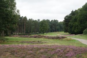 Sunningdale (New) 16th